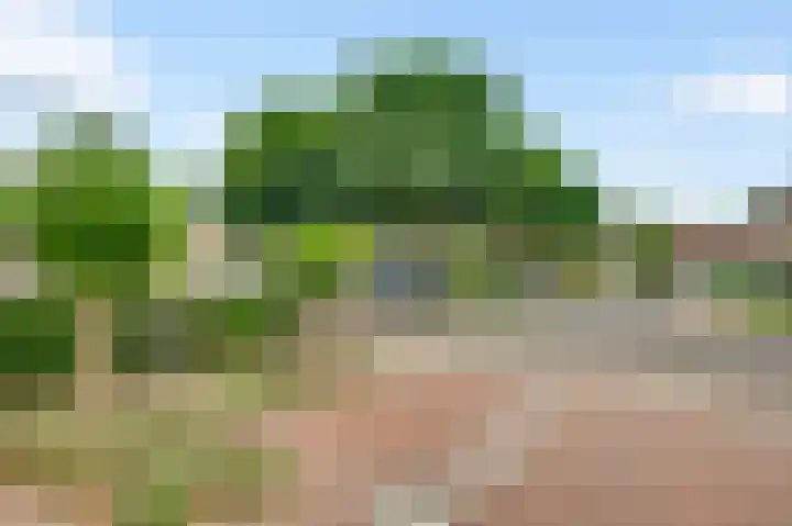 Gagel 10 Herkenbosch thumbnail 36
