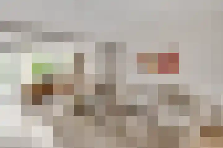 Gagel 10 Herkenbosch thumbnail 4