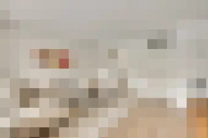 Gagel 10 Herkenbosch thumbnail 6