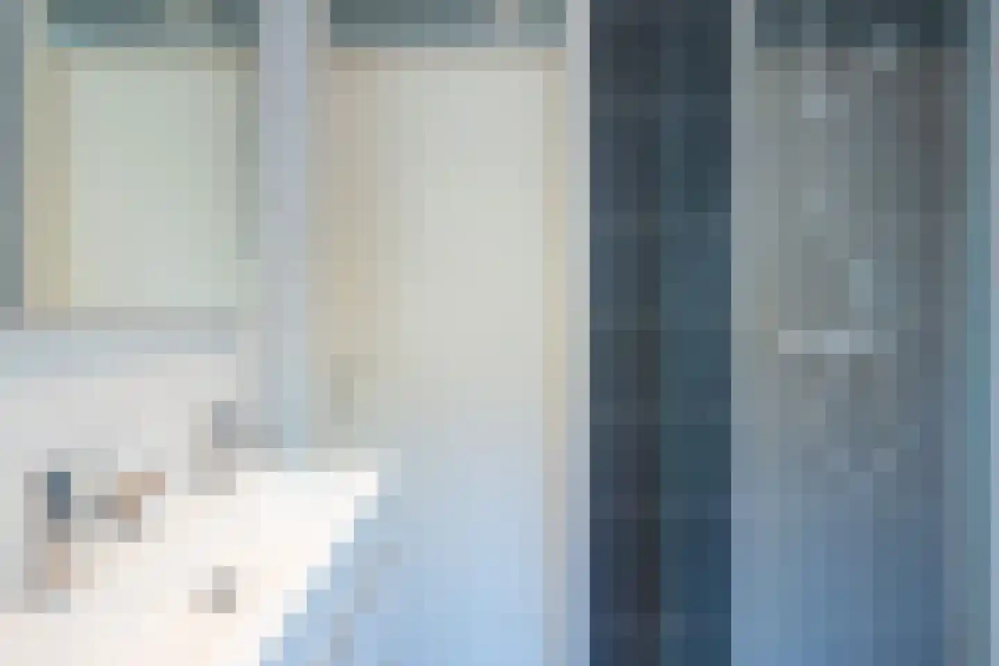 Gagel 24 Goirle thumbnail 33
