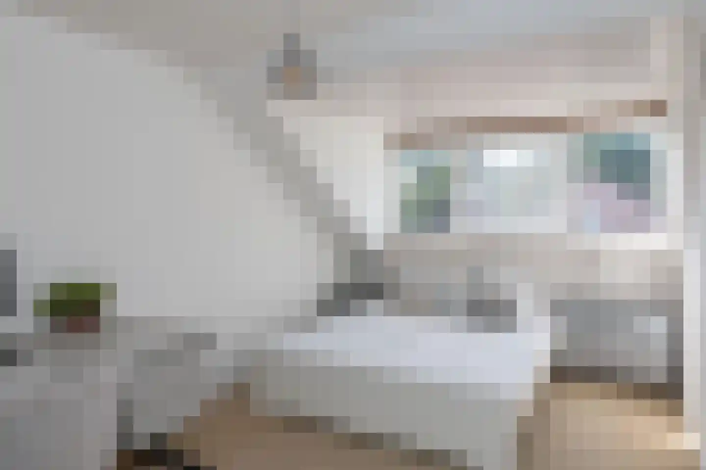 Gagel 24 Goirle thumbnail 38