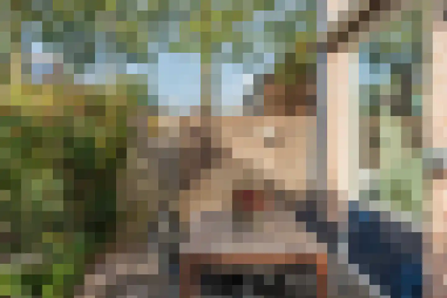 Gagel 24 Goirle thumbnail 42