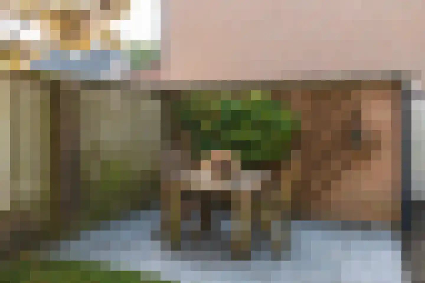 Gagel 24 Goirle thumbnail 45