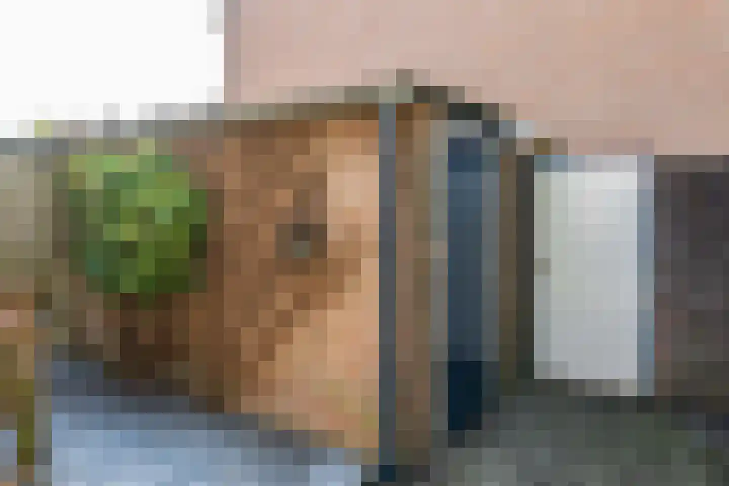 Gagel 24 Goirle thumbnail 46