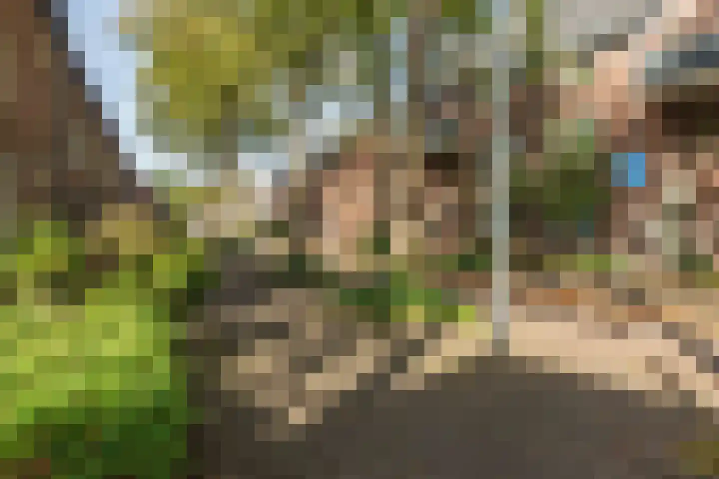 Gagel 24 Goirle thumbnail 48