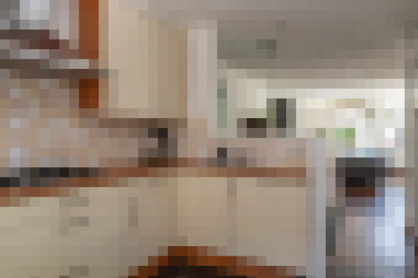 Gagel 24 Goirle thumbnail 5