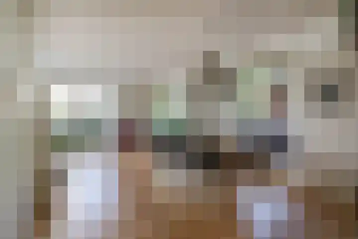 Gagel 3 Eersel thumbnail 14