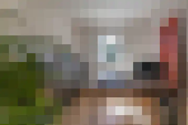 Gagel 3 Eersel thumbnail 16