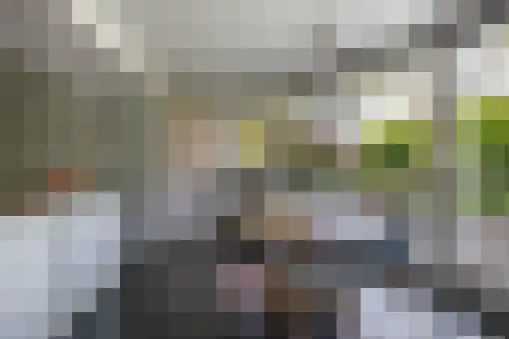 Gagel 3 Eersel thumbnail 19