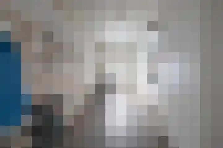 Gagel 3 Eersel thumbnail 21