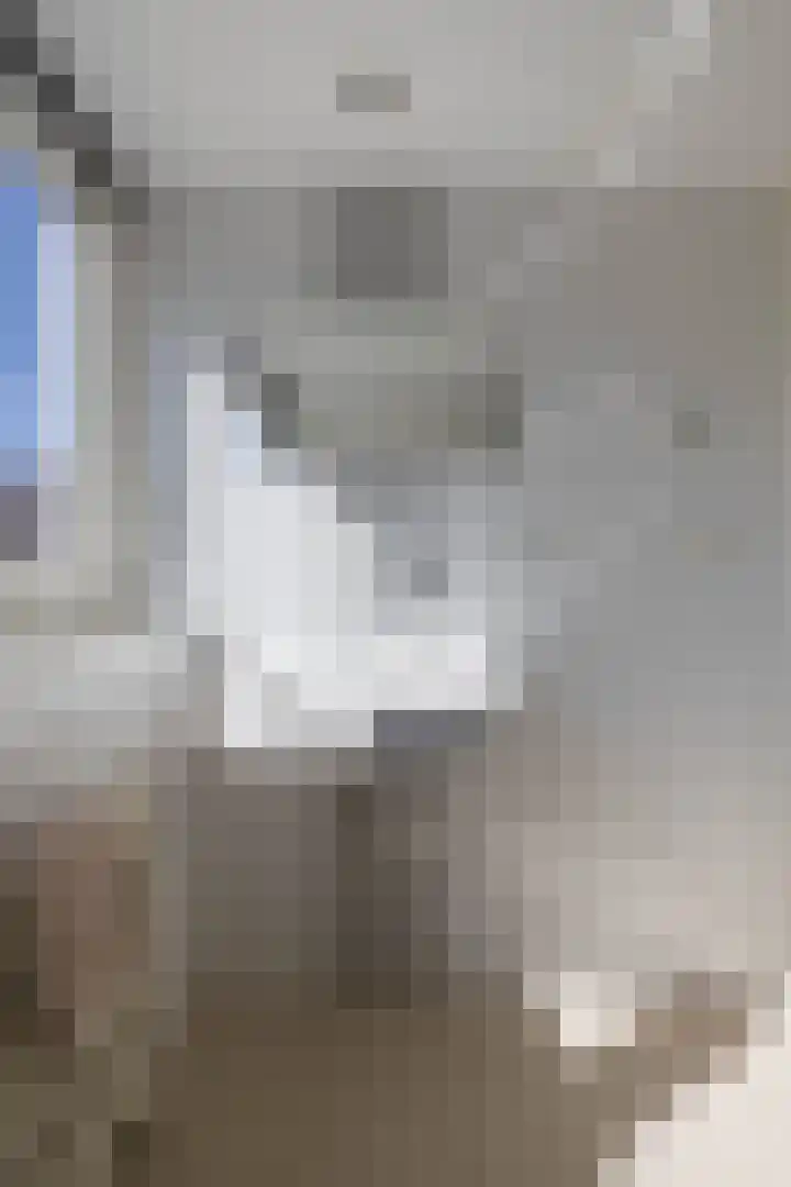 Gagel 3 Eersel thumbnail 27