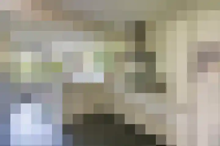 Gagel 3 Eersel foto 3