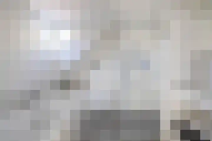 Gagel 3 Eersel thumbnail 32