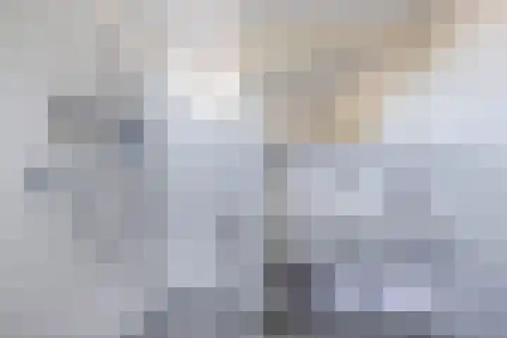 Gagel 3 Eersel thumbnail 33