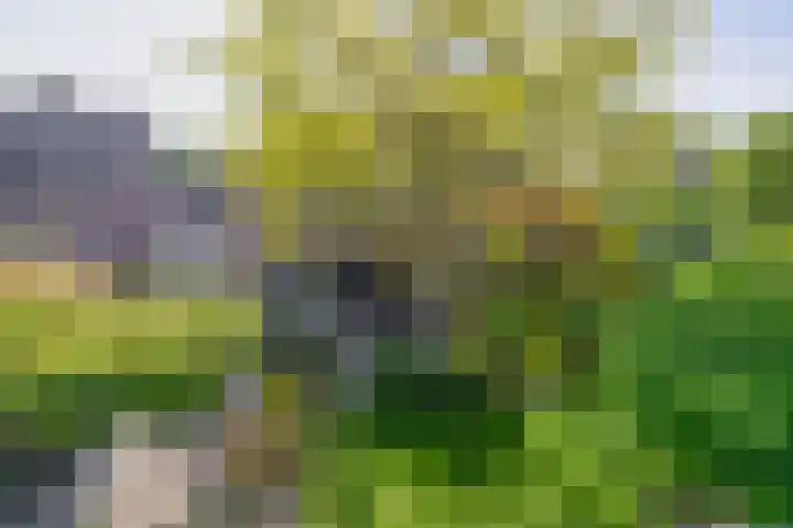 Gagel 3 Eersel thumbnail 34