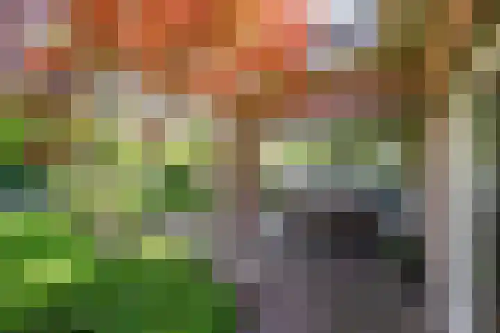 Gagel 3 Eersel thumbnail 36