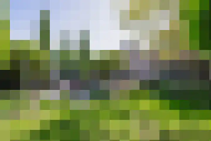 Gagel 3 Eersel thumbnail 39