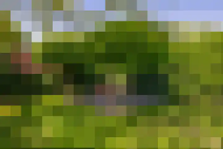 Gagel 3 Eersel thumbnail 40