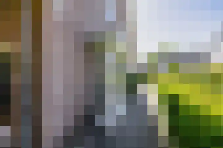 Gagel 3 Eersel thumbnail 41