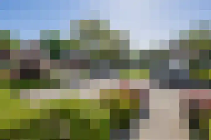 Gagel 3 Eersel thumbnail 42