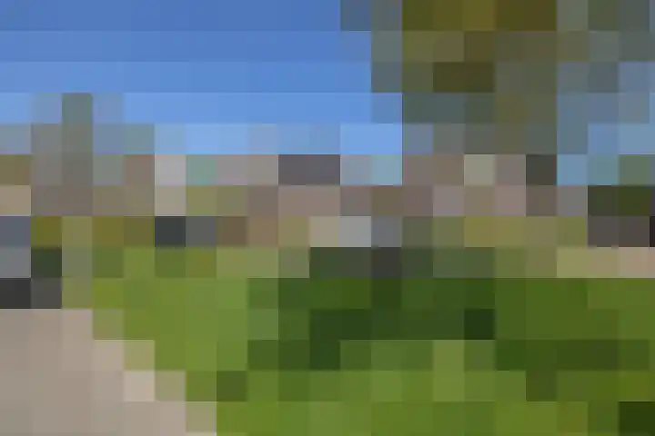 Gagel 3 Eersel thumbnail 45