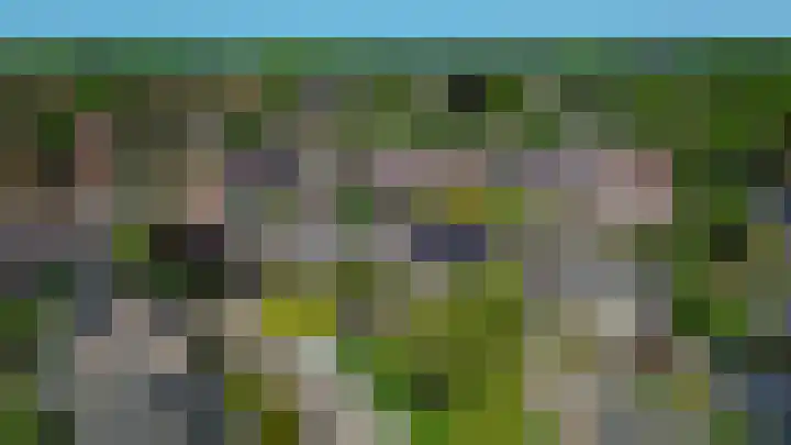 Gagel 3 Eersel thumbnail 46