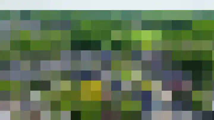 Gagel 3 Eersel thumbnail 47