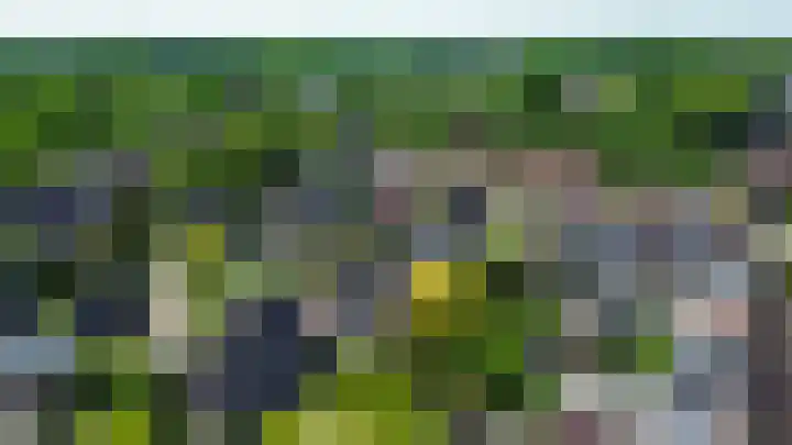 Gagel 3 Eersel thumbnail 48