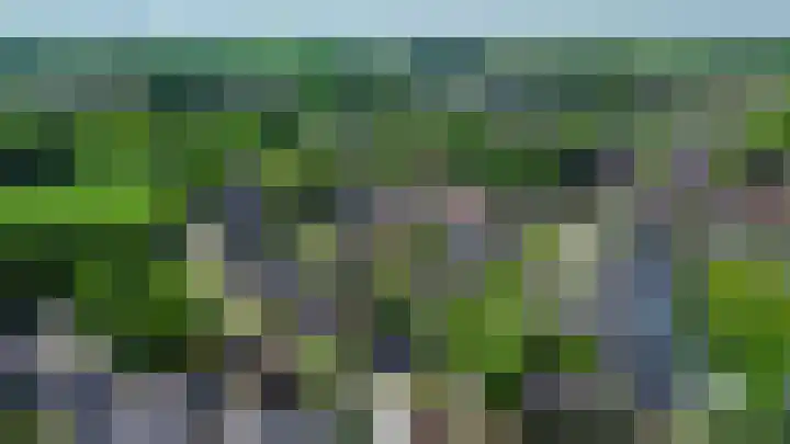 Gagel 3 Eersel thumbnail 49