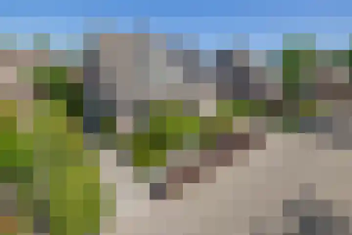 Gagel 3 Eersel thumbnail 5