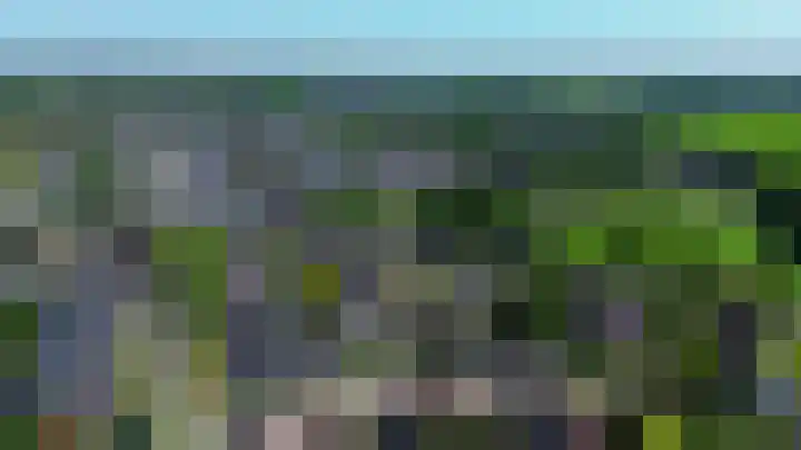 Gagel 3 Eersel thumbnail 50
