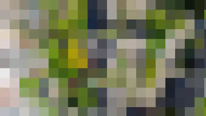 Gagel 3 Eersel thumbnail 51