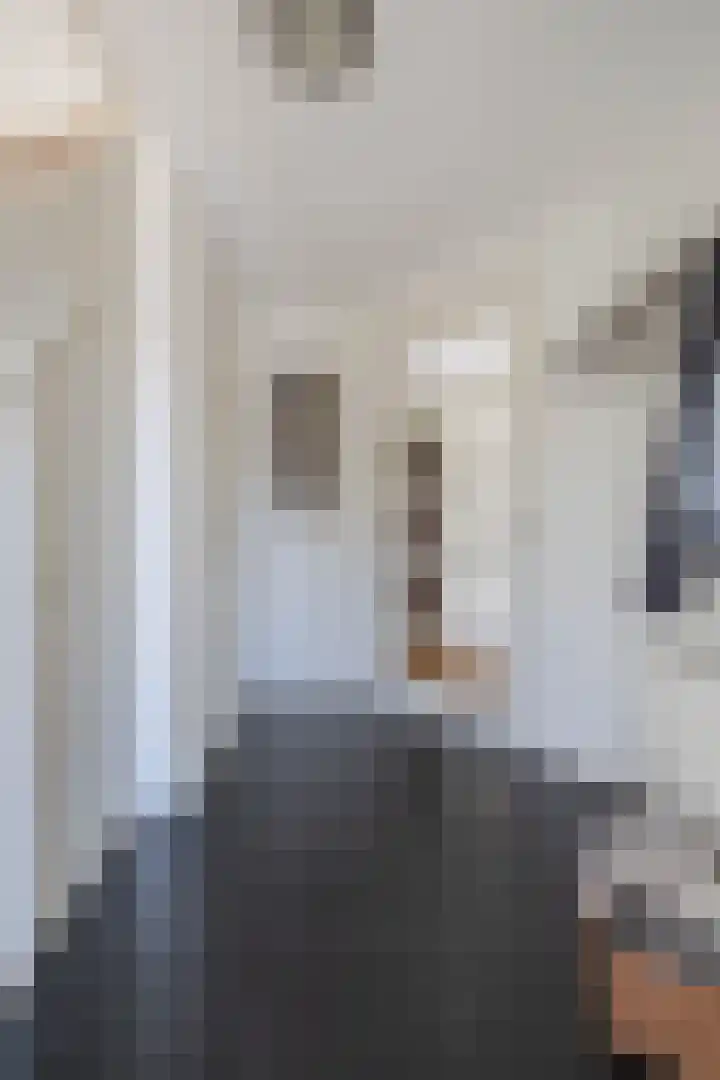Gagel 3 Eersel thumbnail 7