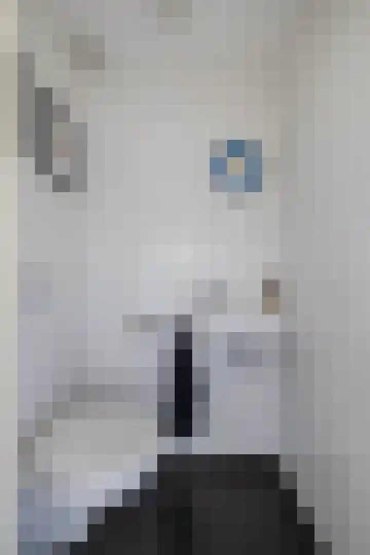 Gagel 3 Eersel thumbnail 8