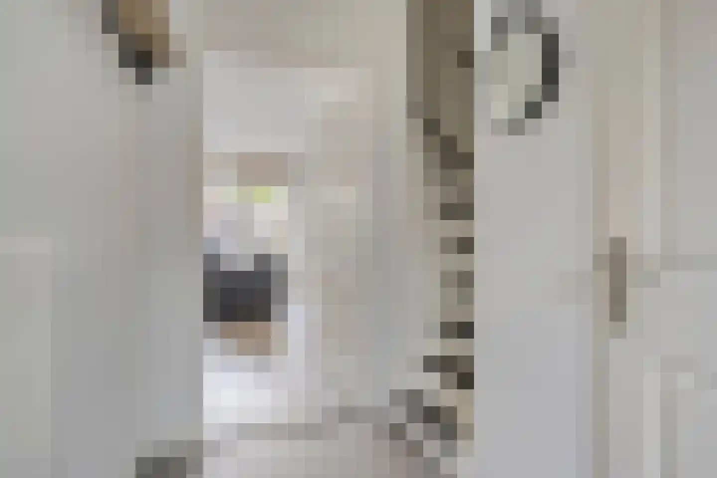 Gagel 35 Herkenbosch thumbnail 10