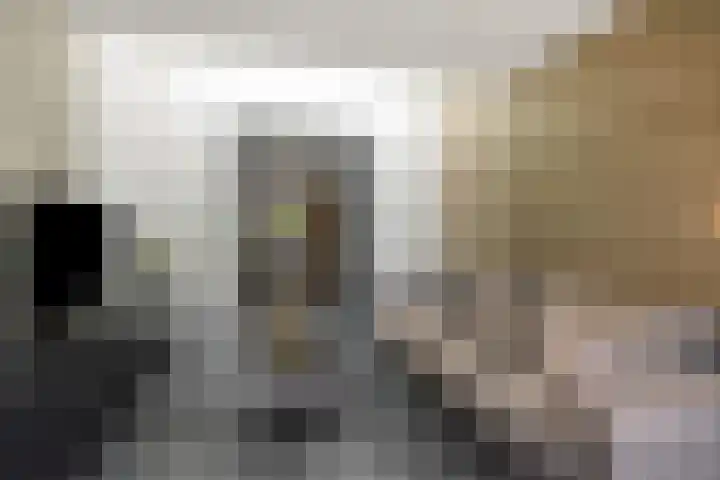 Gagel 8 Geffen thumbnail 10