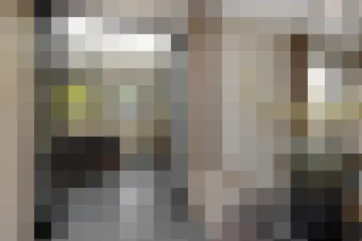 Gagel 8 Geffen thumbnail 13