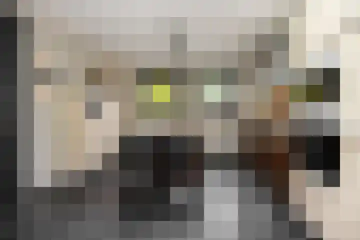 Gagel 8 Geffen thumbnail 14