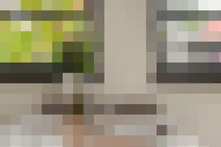 Gagel 8 Geffen thumbnail 15