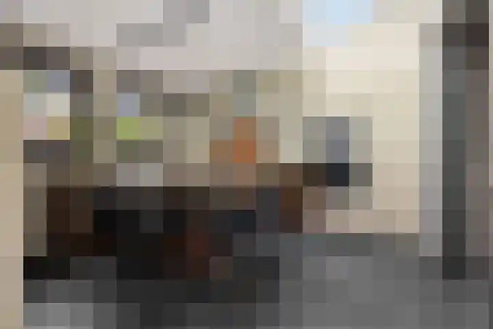 Gagel 8 Geffen thumbnail 16