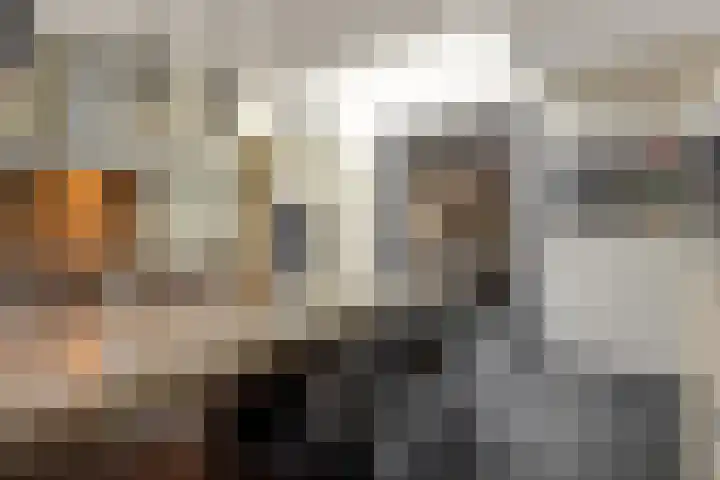Gagel 8 Geffen thumbnail 17