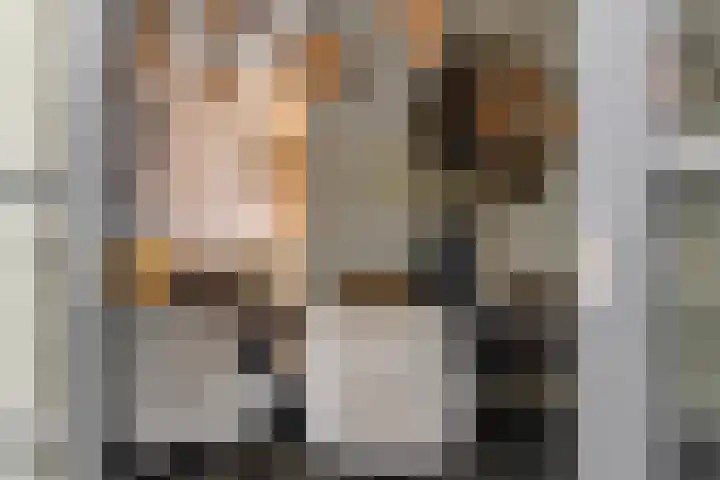 Gagel 8 Geffen thumbnail 18