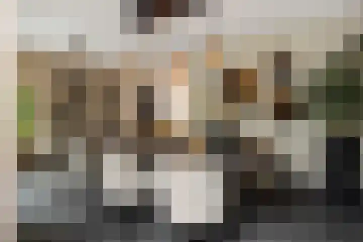 Gagel 8 Geffen thumbnail 19