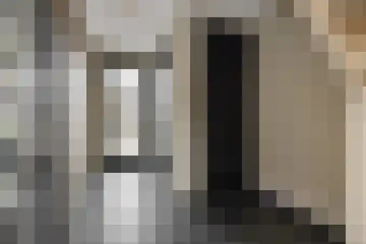 Gagel 8 Geffen thumbnail 24