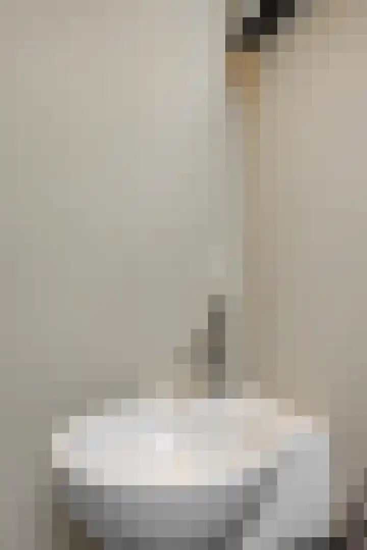 Gagel 8 Geffen thumbnail 26