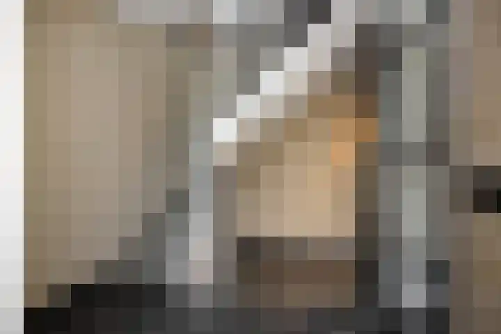 Gagel 8 Geffen thumbnail 27