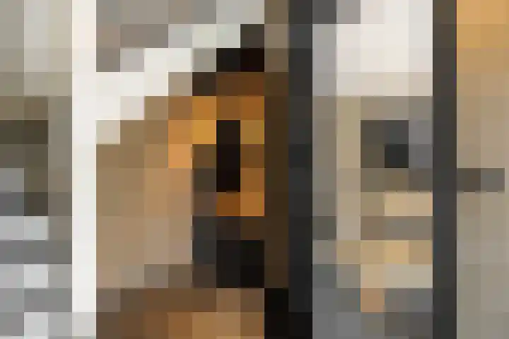 Gagel 8 Geffen thumbnail 28
