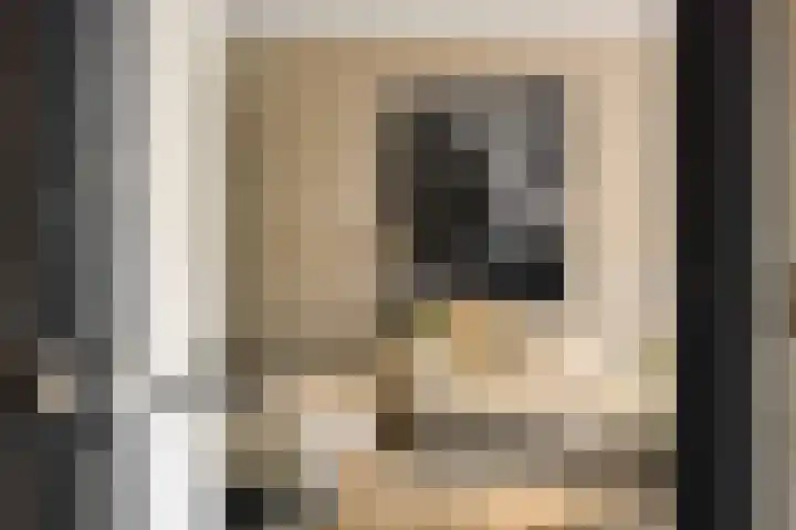 Gagel 8 Geffen thumbnail 29