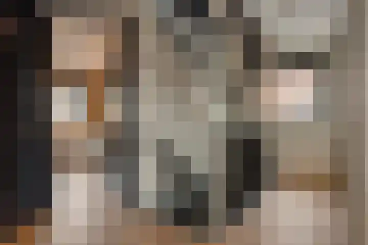 Gagel 8 Geffen thumbnail 30