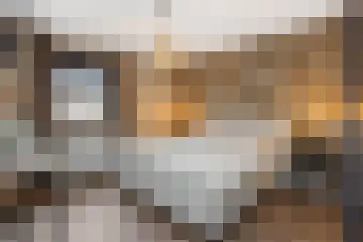 Gagel 8 Geffen thumbnail 31